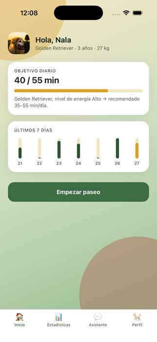 Inicio