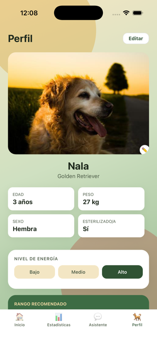 Perfil